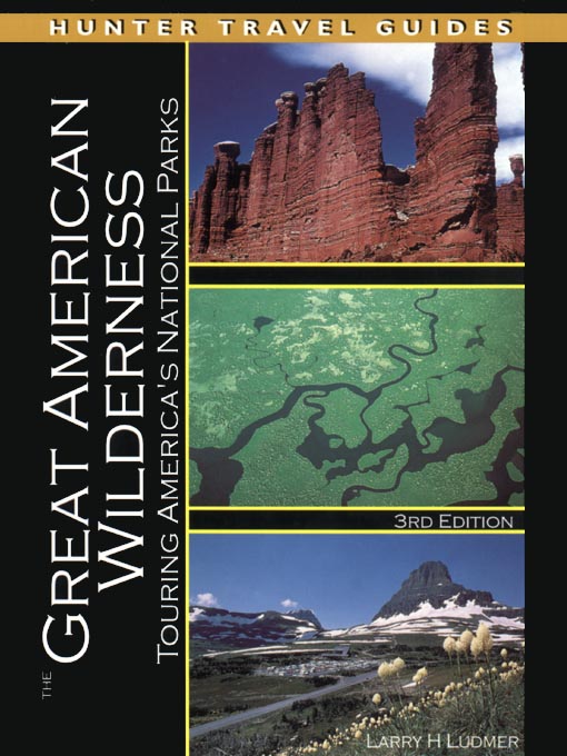 Title details for Great American Wilderness by Larry H. Ludmer - Available